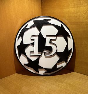 Logo 15 Champions Winner