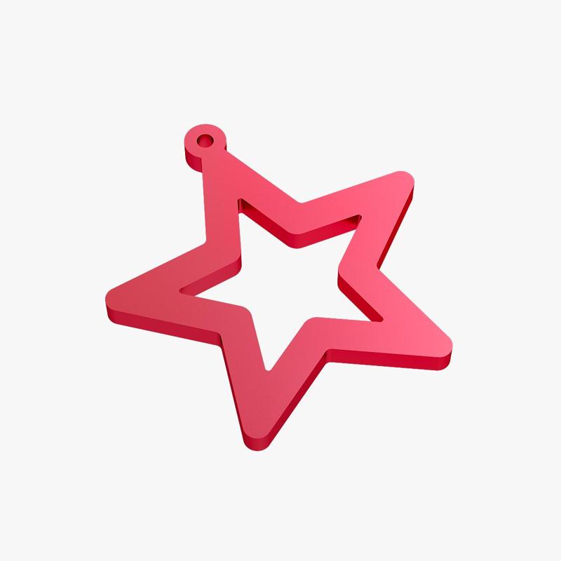 Earrings star