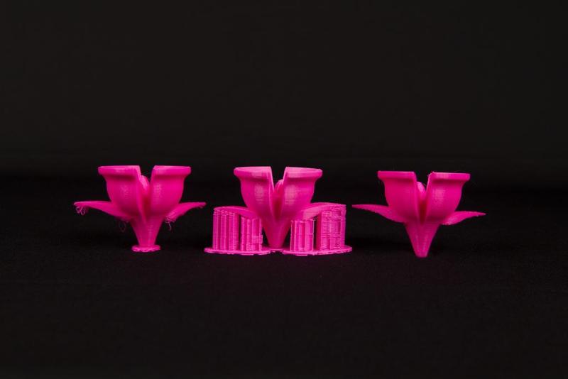 Rafts and Supports Flowers