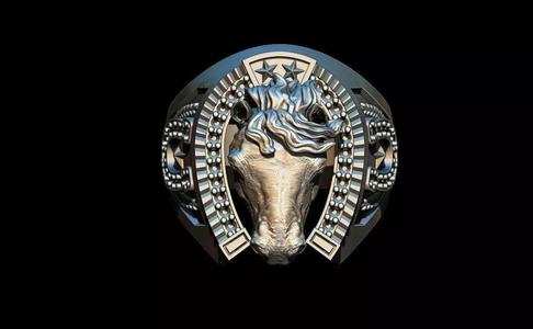 Horse ring