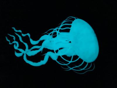 Jellyfish wall art decor