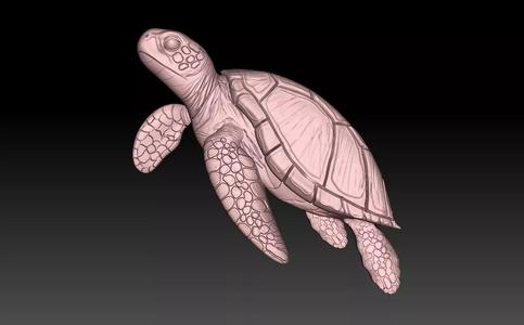 Turtle CNC