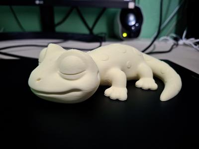 Sleeping Gecko 3D Print Model