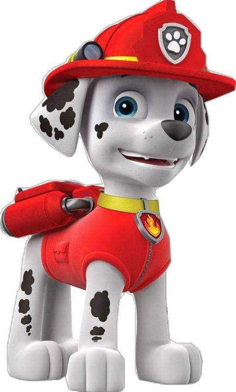 paw patrol