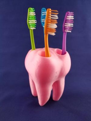 Tooth ToothBrush Holder