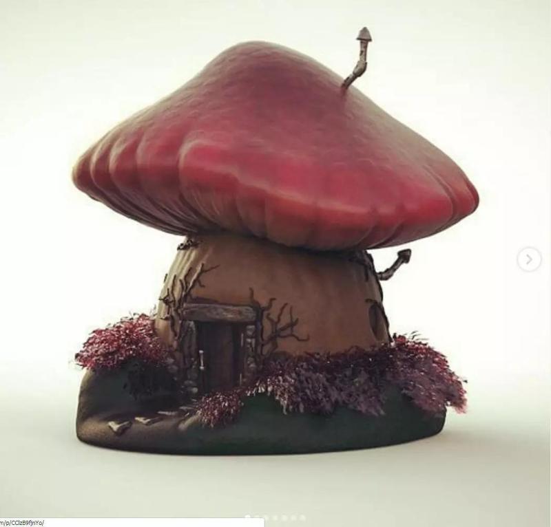 CASITA HONGO - MUSHROOM HOUSE