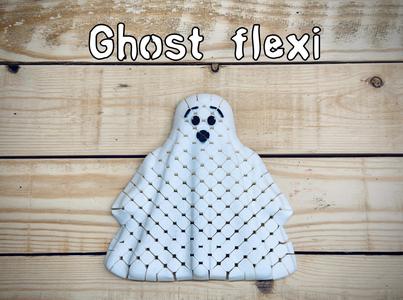 Ghost Flexi 