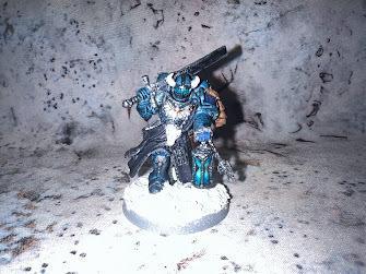 Star Vikings Judge