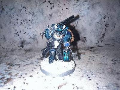 Star Vikings Judge