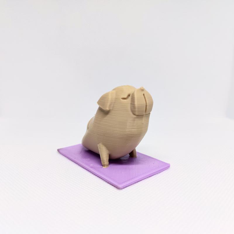 Carlino dog yoga photo holder
