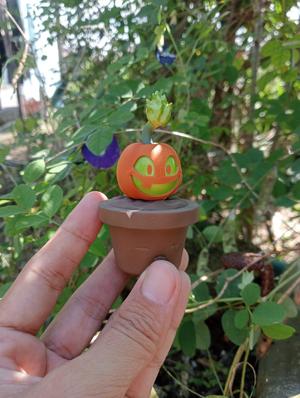 PLANT VS ZOMBIE 2 - Jack O' Lantern