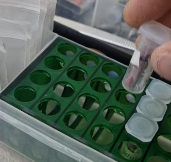 Holder for 10 mm flasks