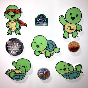 5 Magnet Turtle
