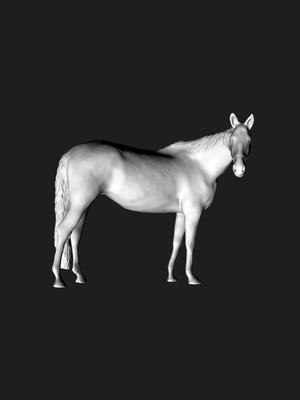 Horse - toy for kids