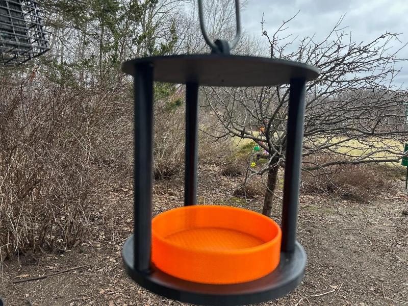 Oriole Jelly Feeder v.2   