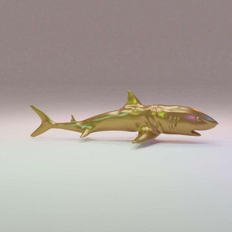 Shark 3D