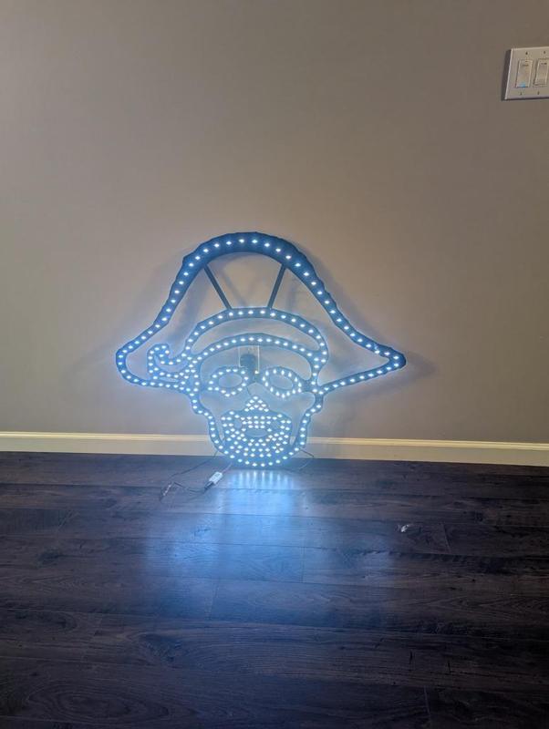 WS2811 Singing Pirate-Seed Pixel Version