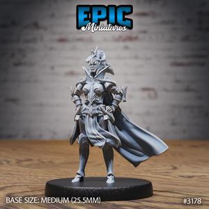 Hunters Guild Female Knight ‧ DnD Miniature ‧ Tabletop Miniatures ‧ Gaming Monster ‧ 3D Model ‧ RPG ‧ DnDminis ‧ STL FILE