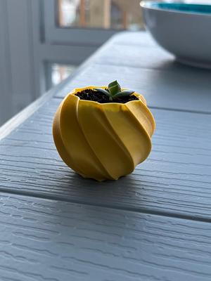 sphere spiralized plant pot, modern houseplant pot