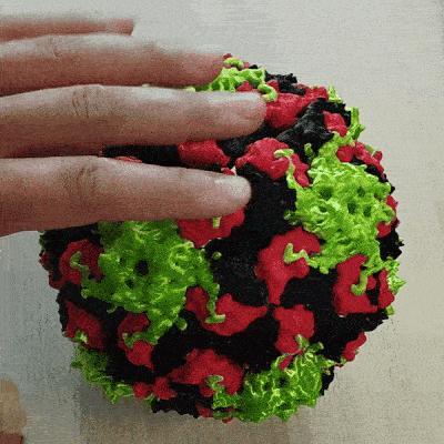 Educational Model: Icosahedral Virus with Magnets (multi-material)   