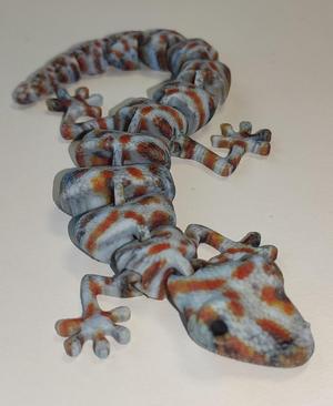 Articulated_Lizard_5.2_Curl.stl