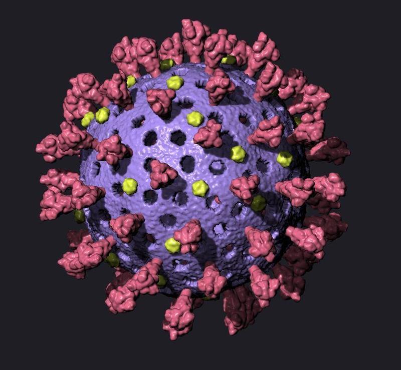 Coronavirus Christmas Ornament