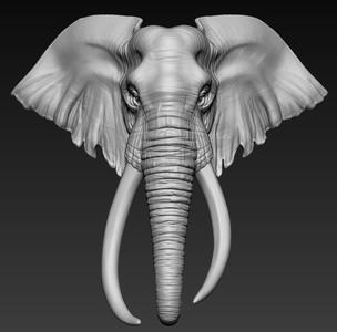 Elephant African Head