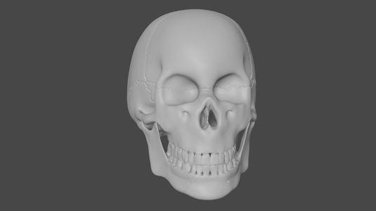 skull