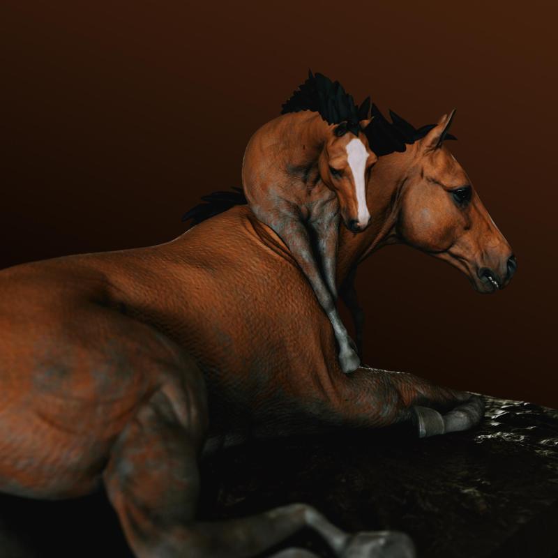 Horse