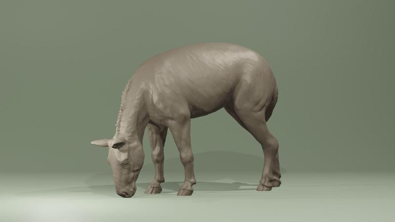Prehistoric horse Hyracotherium Eohippus prehistoric horse equine extinct 3D print model