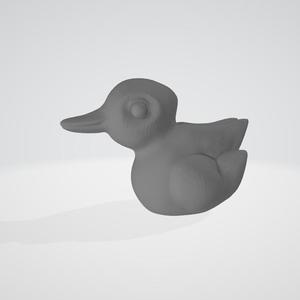 DUCK RABBIT