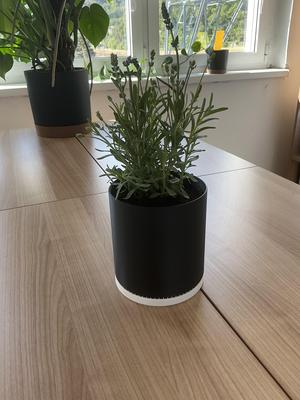 Flowerpot
