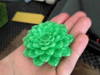 Succulent( fake plant