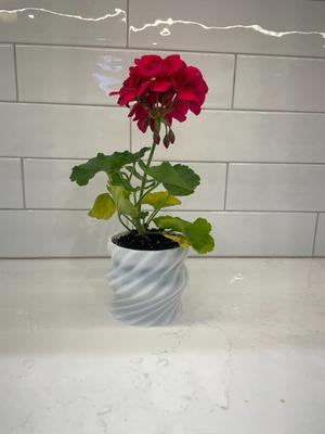 Twisted Plant Pot v2