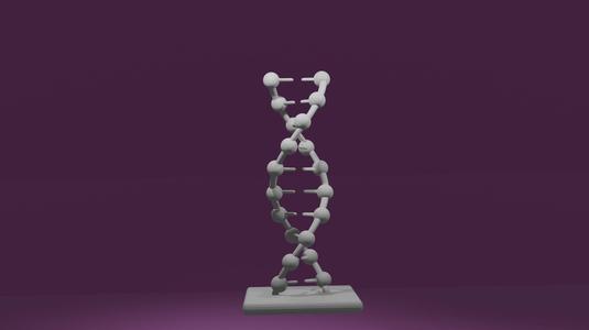 DNA model