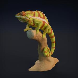Chameleon