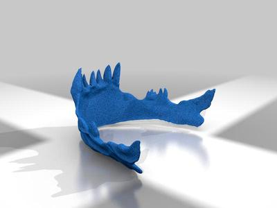Jawbone