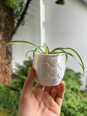 Planter with heart pattern