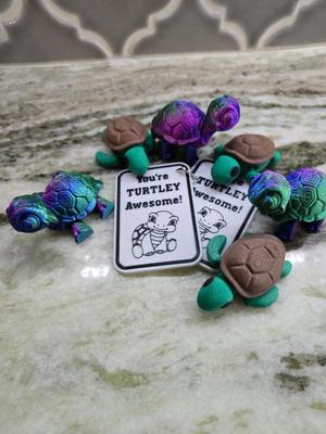 Turtle valentine tag/keychain