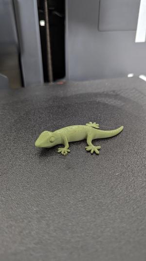 Simple gecko