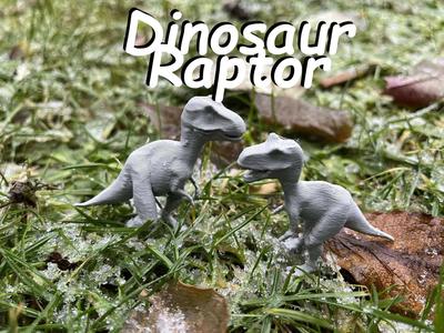 Dinosaur raptor   