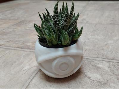 Eye Planter