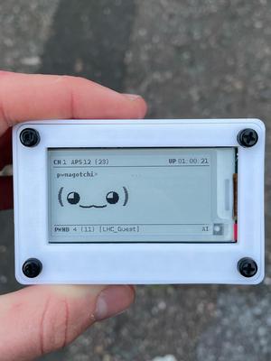 Pwnagotchi Case!