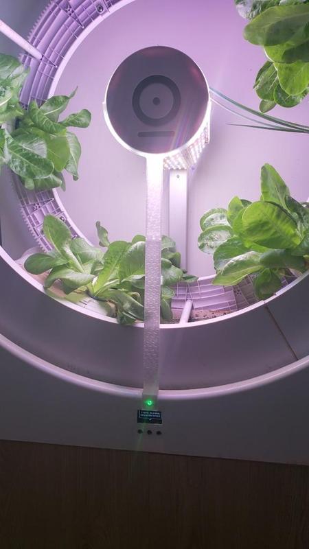 Center light support