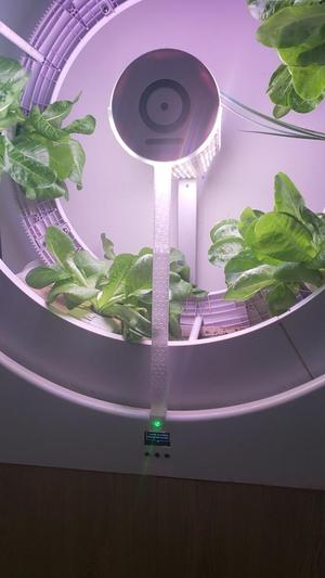 Center light support