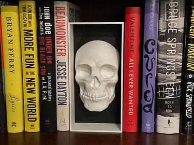 Two Color Gothic Skull Book Nook With Hidden Stash