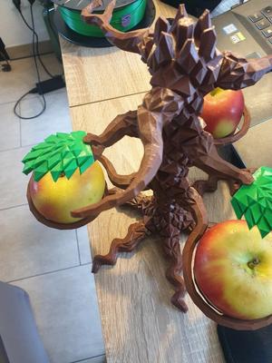 Fruit Tree - dead branch
