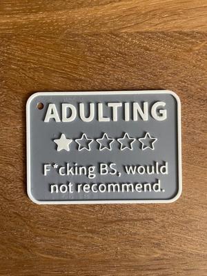 Funny Keychain / Adulting review / gift idea
