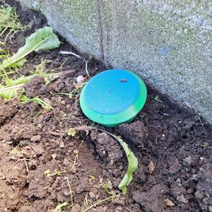 Slug and snail beer trap