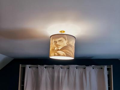Harry Potter lampshade